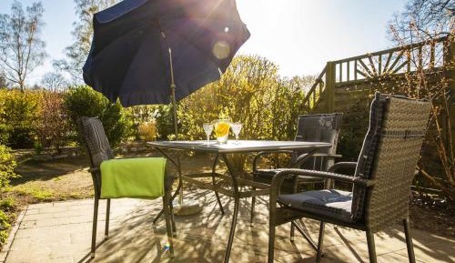 Studio with Terrace