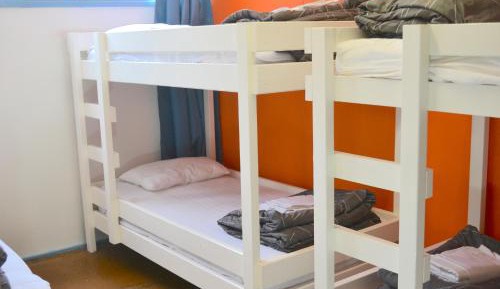 Bunk Bed in Mixed Dormitory Room