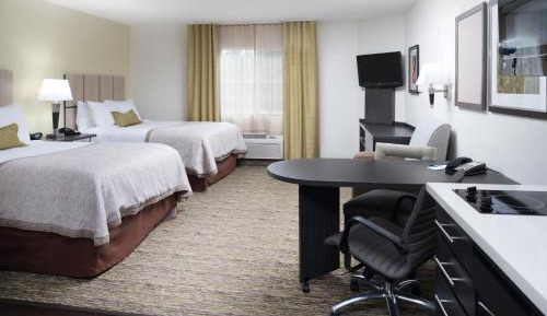Studio Suite with Two Double Beds