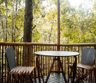 Deluxe Double or Twin Room with Balcony