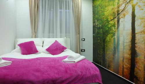 Standard Suite