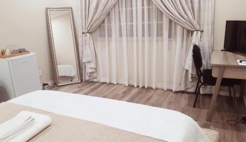 Deluxe Double or Twin Room with City View