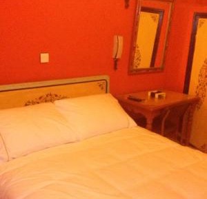 Standard  Double Room
