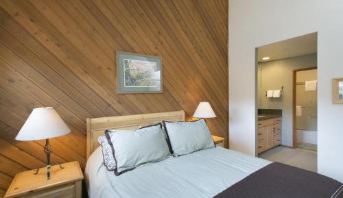 Deluxe One-Bedroom Apartment