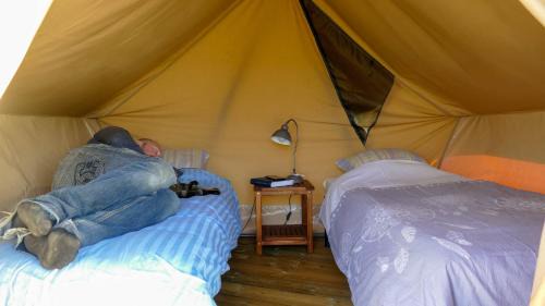 Tent