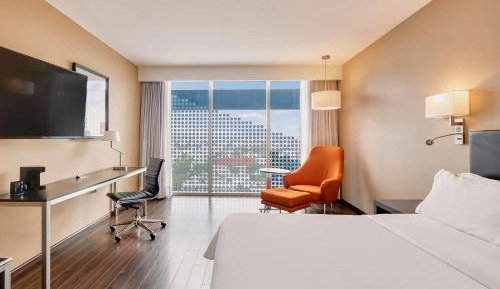 Executive King Room