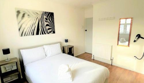Double Room with Shared Bathroom