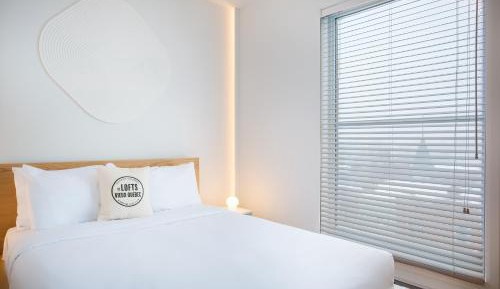 1-bedroom apartment SF501