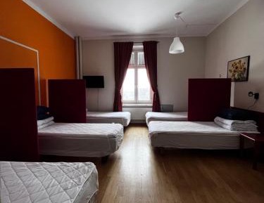 Bed in 5-bed Female Dormitory Room