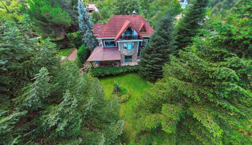 Standard Villa