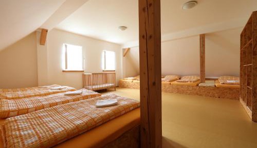 Single Bed in Mixed Dormitory Room
