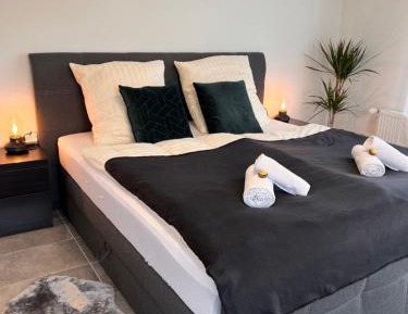 One-Bedroom Apartment 2