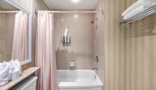 Deluxe Double or Twin Room with Garden View