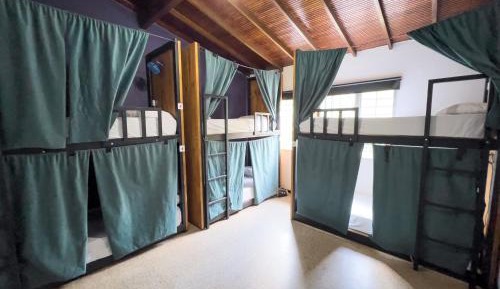 Single Bed in Mixed Dormitory Room