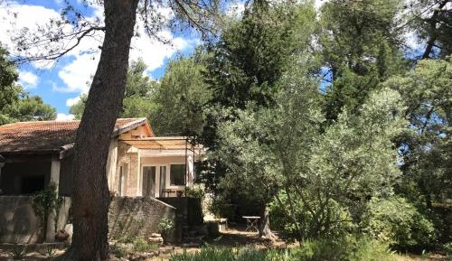 One-Bedroom House