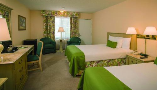 Double Room with Two Double Beds and Pool View
