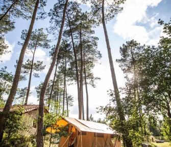 Tent Sweet +