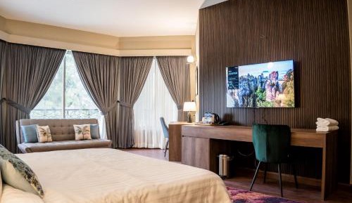 Suite with Mountain View