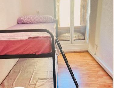 Bunk Bed in Mixed Dormitory Room