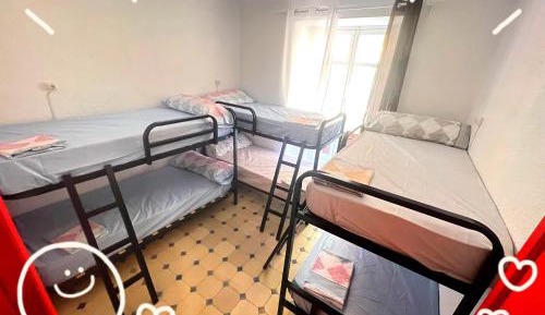 Bed in 6-Bed Mixed Dormitory Room