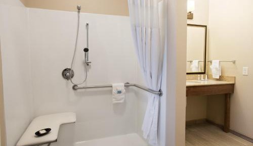 King Studio Suite with Roll-In Shower - Mobility/Hearing Accessible - Non-Smoking