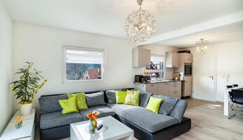 Superior One-Bedroom Apartment
