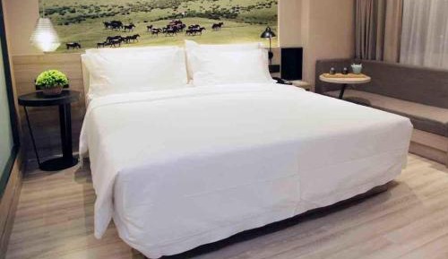 Elegant Double Room