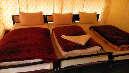 Tent