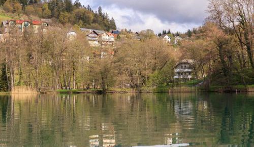 Three-Bedroom Apartment with Terrace and Lake View