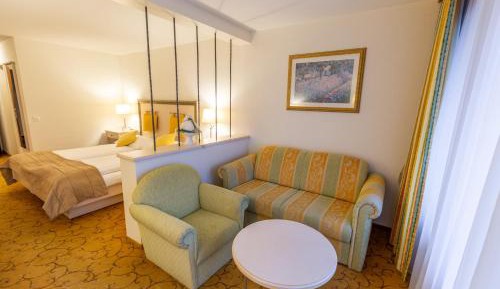 Deluxe Double or Twin Room with Mountain View