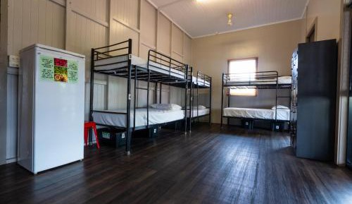 Single Bed in 8-Bed Dormitory Room