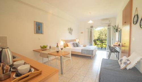 Studio (3 Adults)
