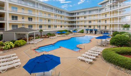 Three Bedroom Apartment