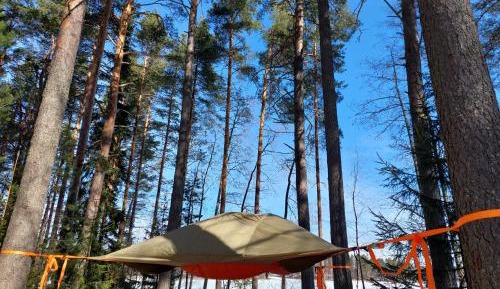 Tree Tent (tentsile)