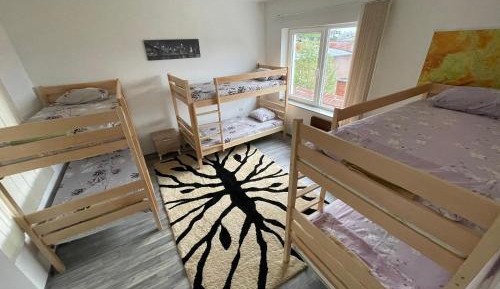 Bunk Bed in Male Dormitory Room 