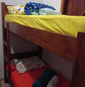 Bunk Bed in Mixed Dormitory Room