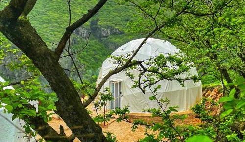 Tent