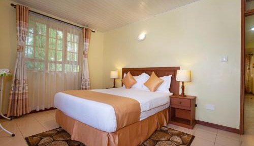 Superior Suite