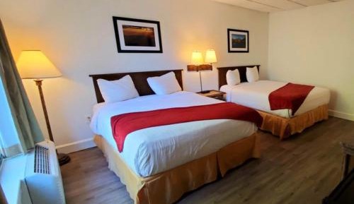 Standard Double Room