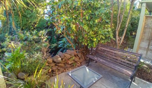 Studio with Garden View
