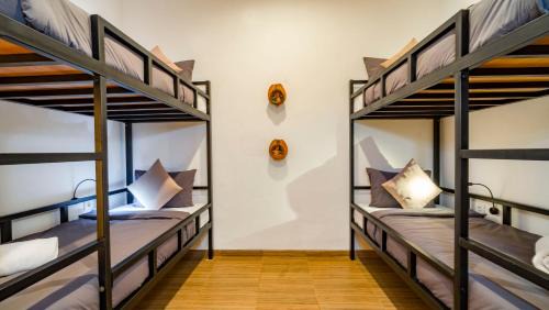 4-Bed Mixed Dormitory Room