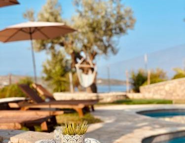 Deluxe Double or Twin Room with Pool Access