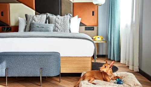 King Suite de Vivi