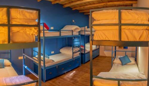 Bed in 6-Bed Dormitory Room