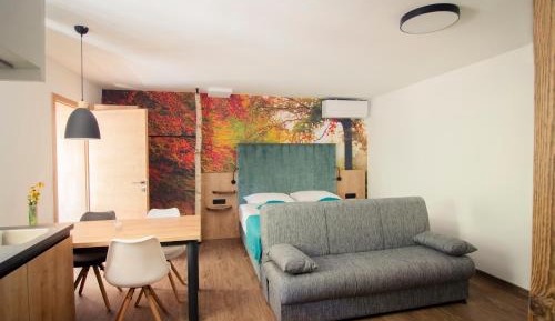 Apartment with Sauna