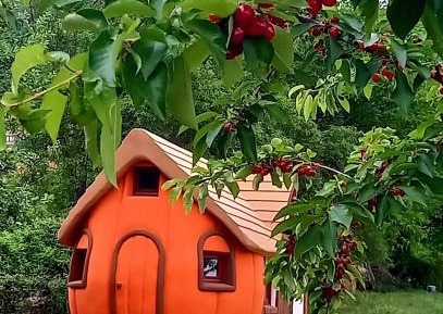 Mobile Home