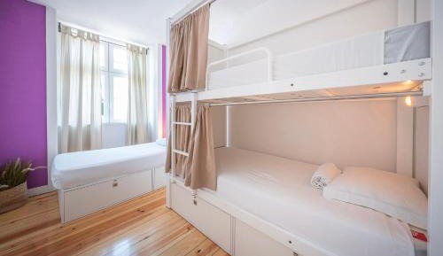 Superior 3 Bed-Dorm