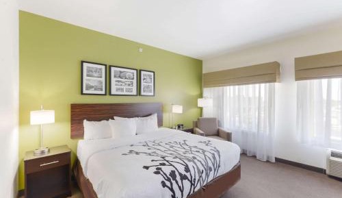 King Room - Non-Smoking