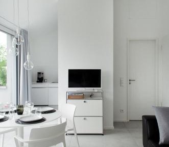 Penthouse Apartment