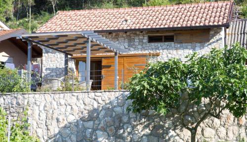 House with Terrace
